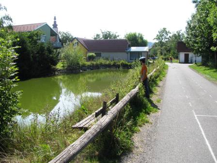 Der Fischteich kurz vor Fernitz