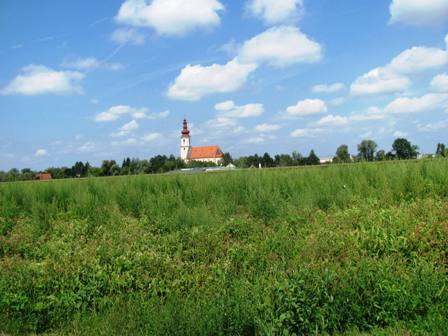Blick ber saftige Wiesen