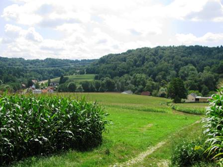 Um Enzelsdorf werden die Hgel etwas grer