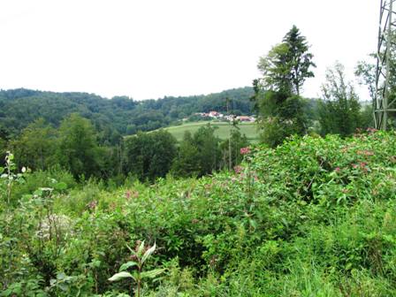 Blick Richtung Gnaningdorf
