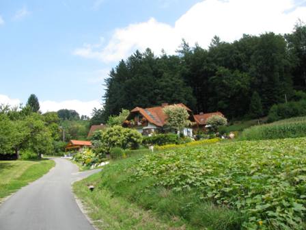 Blick ber Krbisfelder zu einem wunderschnen Wohnhaus