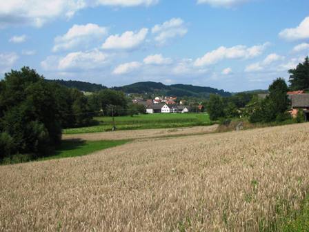 Fernblick Richtung Vasoldsberg