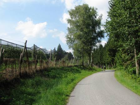 Vorbei an Obstplantagen