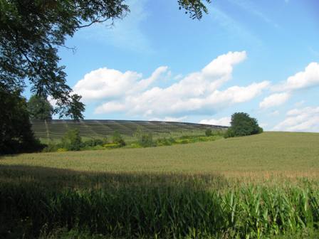 Blick ber Kornfelder und Obstplantagen