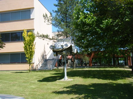 Ein aufgepackelter Käfer in Jennersdorf