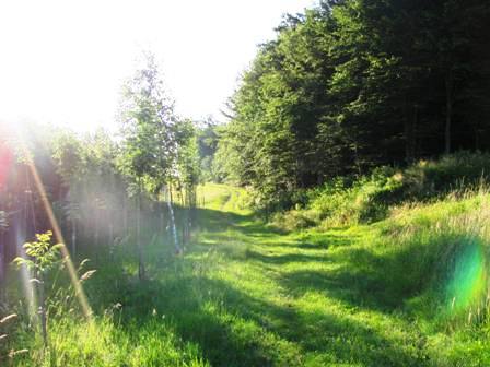 Die Sonne erwärmt das Land