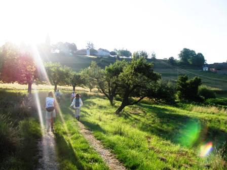 Auf schönen Feldwegen zwischen Obstbäumen ins Tal