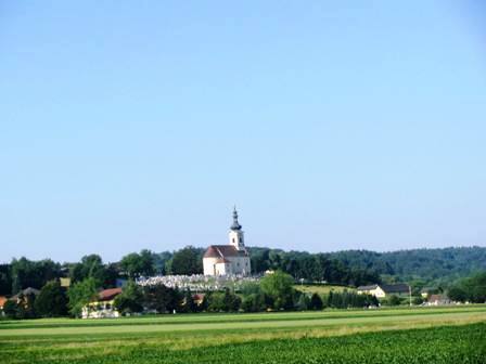 Fernblick zur Kirche von St.Martin an der Raab