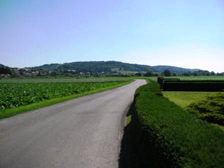 Brettlebener Blick Richtung Hohenbrugg an der Raab