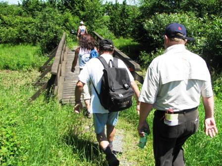 Über einen kleinen Steg