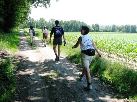 Endlich mal ein schattiger Weg entlang des Waldes