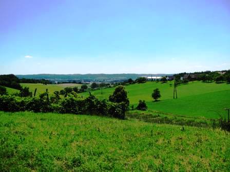 Blick über die Wiesen um Bergen