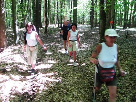 Ein leichter Anstieg durch den Wald zurück nach Rax