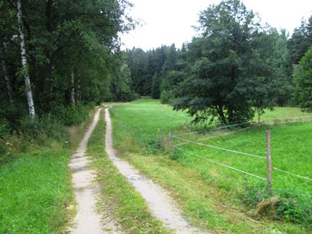 Erholsame Wege zwischen Wald und Wiese...