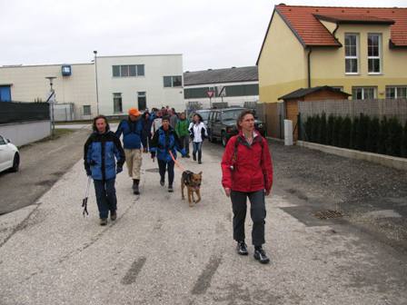 Die Gruppe durch die Wohnhuser am Ortsrand von Stockerau