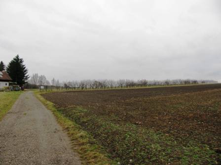 Blick zum langen Weg nach Leitzersdorf