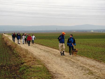 Hohes Tempo auf der elendig langen Geraden zwischen Stockerau und Leitzersdorf