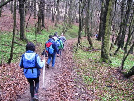 Abstieg vom Michelberg durch herrliche Wlder