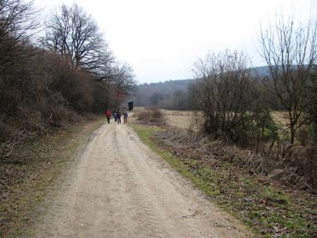 Auf einem schnen Forstweg gehts durchs Tal