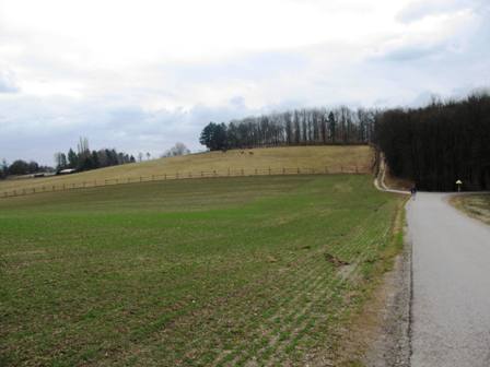 Die Pferdekoppeln beim Schafflerhof