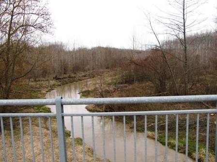 Seitenarm der Donau in der Stockerauer Au