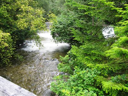 Die Salza in Bad Mitterndorf