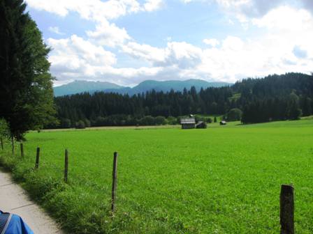 Almwiesen