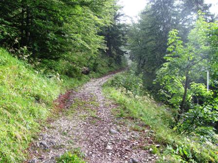 Der steile steinige Weg zur Alm