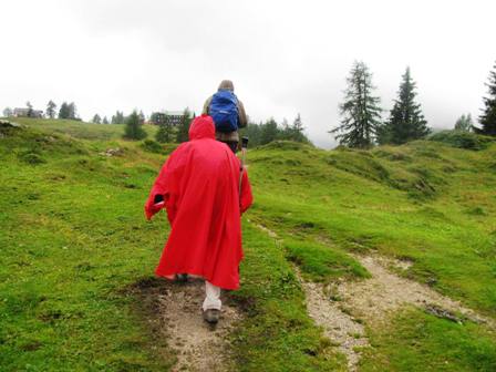 Wunderschne Wegerl ber die Alm...