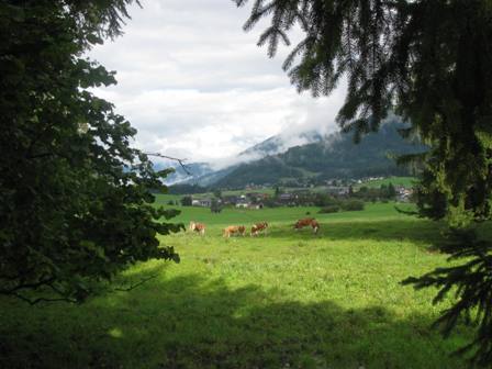 Blick Richtung Bad Mitterndorf