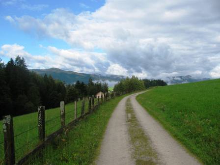 Schner Weg entlang von Weiden