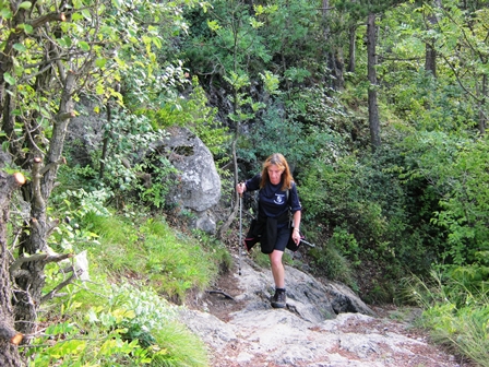 Zirberl im alpinen Aufstieg...