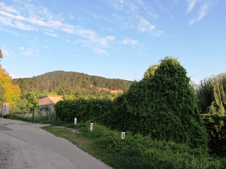 Blick hinauf von Mdling Richtung Anninger