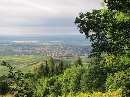 Ausblick Richtung Guntramsdorf