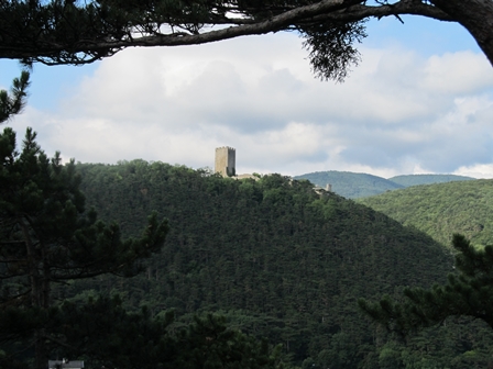 Blick zur Ruine Rauheneck