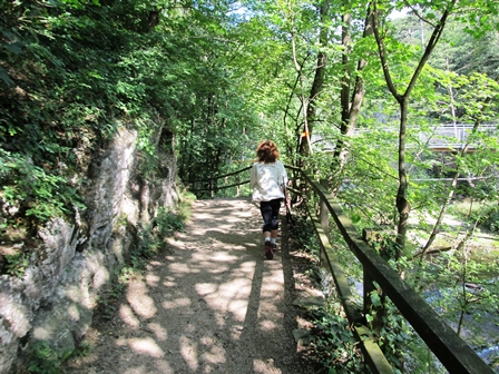Entlang der Schwechat auf schnen Waldwegen