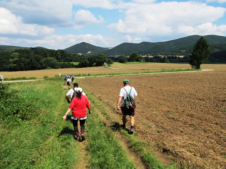Blick ber Gaaden Richtung Anninger