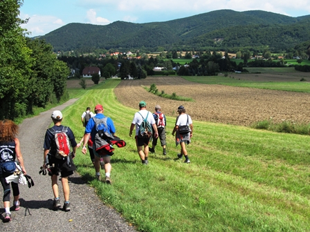Flott bewegen sich die Marathonis auf Gaaden zu