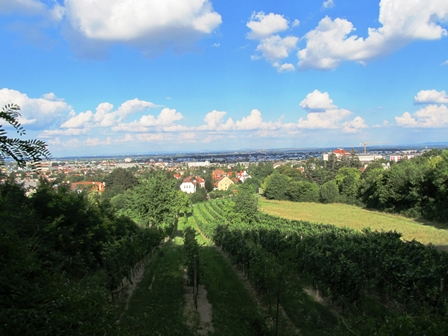 Blick ber Mdling