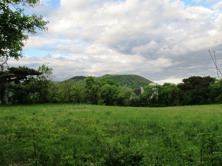 Fernblick Richtung Husarentempel