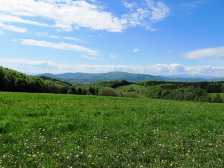 Traumblick ber den Wienerwald Richtung Schneeberg