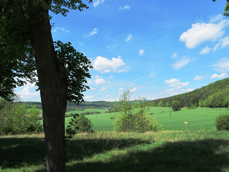 Blick ber die Wiesen bei Heiligenkreuz