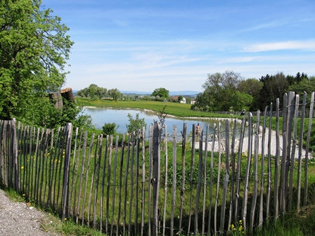 Schöne Teichanlage mit interessantem Naturzaun