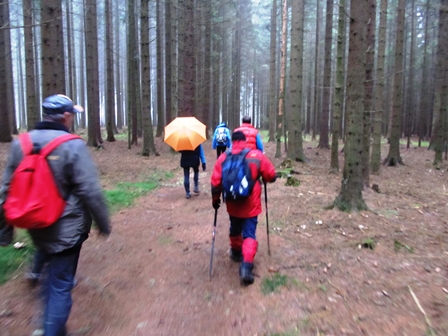 Flott ziehen die Marathonis durch den Gemeindewald Richtung Langschlag