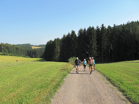 Die Marathonis im kleinen Anstieg nach Bruderndorf...