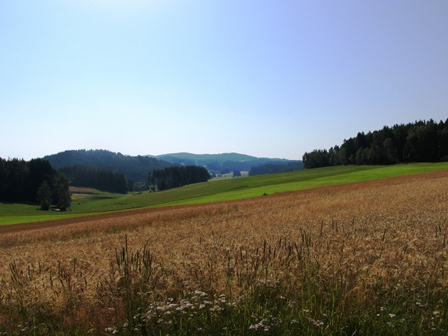 Blick zu den Erhebungen um Siebenberg und Oberkirchen