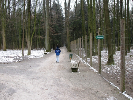 Zirberl spaziert am Tiergehege im Kaiserwald vorbei