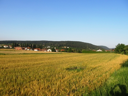 Blick über Felder Richtung Wöllersdorf