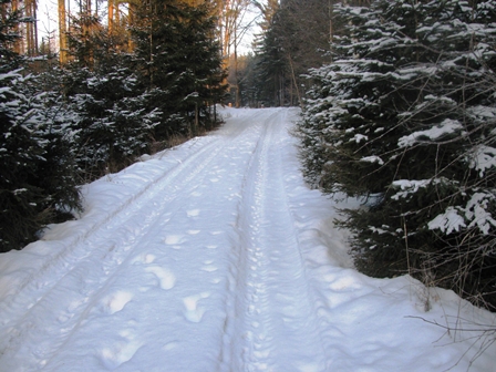 Schöner aber beschwerlicher Weg durch Wald und Schnee - und das nach 50 km