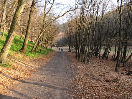 Schöne entspannende Wege durch den Naturpark bei Weißenbach